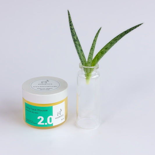 Daily Face Mousse 2.0 for Normal and Dry Skin